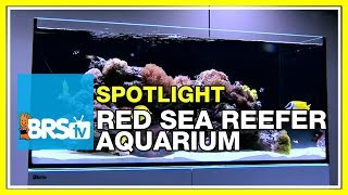 How to set up a reef tank  Red Sea Reefer Aquarium  BRStv Spotlight [upl. by Kerrill]