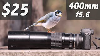 Canon M50  25 wildlife lens [upl. by Ecnadnac]