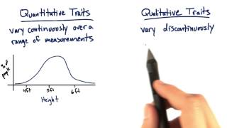 Quantitative vs Qualitative  Tales from the Genome [upl. by Aleahpar688]