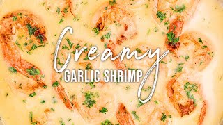 CREAMY GARLIC SHRIMP  EASY DINNER RECIPE [upl. by Ailis]