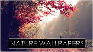 HD Nature Wallpapers Pack 1  Download Now [upl. by Baggott80]