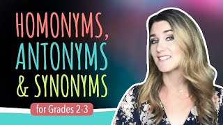 Grades 23 Homonyms Antonyms amp Synonyms [upl. by Winou]