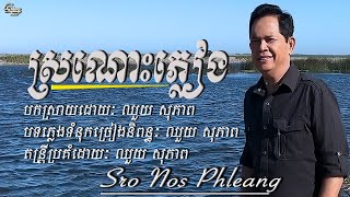 ឈួយ​ សុភាពស្រណោះភ្លៀង​ Chhouy Sopheap  Sro Nos Phleang Official MV [upl. by Bergess]