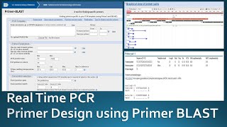 Primer designing for real time PCR using NCBI Primer Blast [upl. by Ative]