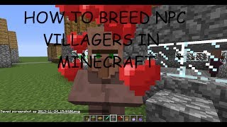 How to Breed Villagers in Minecraft 1710 HD [upl. by Airual]