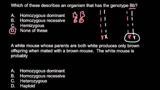 Homozygous heterozygous hemizygous haploid [upl. by Saxe]