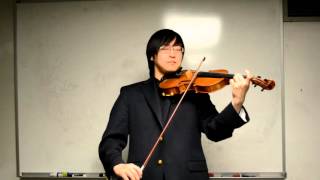 Tong Hua fairy tale violin [upl. by Gene]