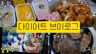 초고도비만의 다이어트 브이로그 D14  D20 [upl. by Erinn556]