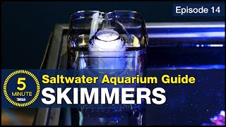 What is a Protein Skimmer How do I get the right one A beginner’s guide to aquarium filtration [upl. by Ham463]