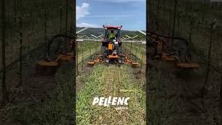 Under Vine Cultivator  Weeder  NEW [upl. by Shurlock856]