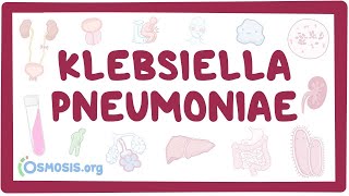 Klebsiella pneumoniae  an Osmosis Preview [upl. by Notniuqal193]