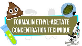 Formalin EthylAcetate Concentration Technique FEACT  UPLB Parasitology Research Laboratory [upl. by Harras]