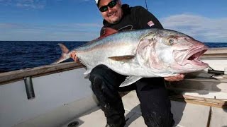 Angeln im Mittelmeer Auf Amberjack in der Kroatischen Adria [upl. by Aninat]