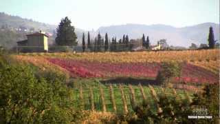 Enchanting Chianti Wine Tour  with Stefano Rome Tours [upl. by Ikik]