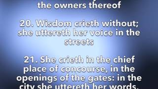 Proverbs 1 KJV AUDIOVIDEO [upl. by Flin]