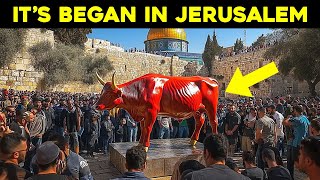 Jerusalem Prepares For Jesus To Return [upl. by Herates]