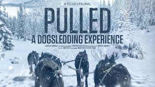 Pulled  A Dog Sledding Experience [upl. by Salangi]