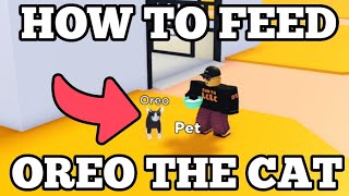 How to feed OREO the CAT in Horse Valley 2 ROBLOX [upl. by Onairam]