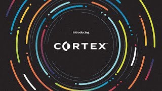 Cortex by Palo Alto Networks [upl. by Navonod]