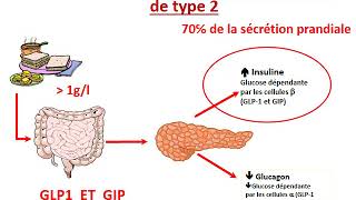 FMPM MOOCs  Traitement du diabétique de type 2  Pr G El Mghari [upl. by Alyel]