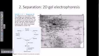 Proteomics [upl. by Nimesh]