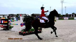 Horse show jumping falls compilation [upl. by Anirad286]