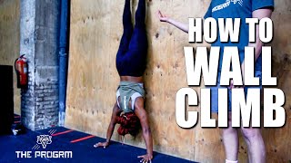 Wall Climb CrossFit progressions and tips [upl. by Ernald]