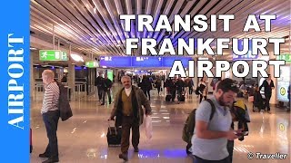 TRANSIT WALK AT FRANKFURT Airport FRA Terminal 1  Connection Flight Transfer Arriving amp Departing [upl. by Isidro439]