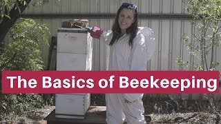 Beekeeping for beginners The absolute basics [upl. by Anomor514]