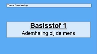 VMBO 4  Gaswisseling  Basisstof 1 Ademhaling bij de mens [upl. by Remmer359]