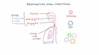 Respiratory Viruses  Clinical Presentations and Diagnosis [upl. by Cybil]