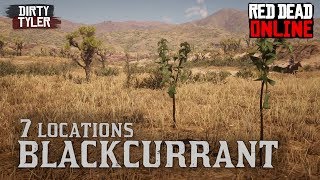 Blackcurrant Locations Red Dead Online [upl. by Shirlene]