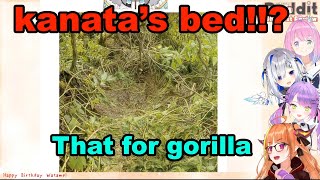 Kanatas bed is for gorilla【hololive English sub】 [upl. by Hance]