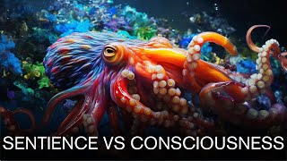 The Difference Between Consciousness and Sentience [upl. by Yssej]