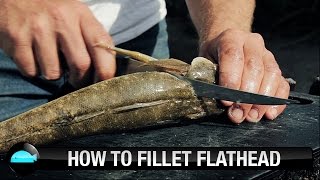 How To Fillet Flathead  We Flick Fishing Videos [upl. by Lednar738]