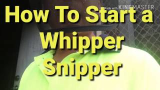 How To Start a Whipper Snipper [upl. by Ttenna328]