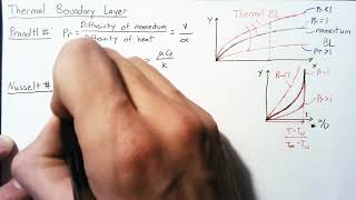 Thermal Boundary Layers [upl. by Gad]