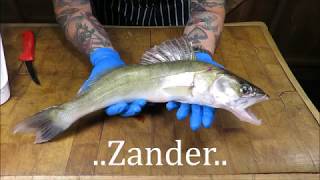 How To Prepare And Cook A Zander Doom Bar Battered Zander SRP [upl. by Nuahsyd]