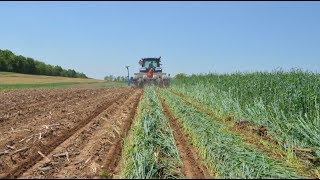 Soybean School Planting Green into Cereal Rye [upl. by Rudwik230]