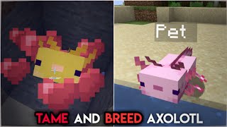 How to tame and breed axolotl in Minecraft  118  Complete Guide [upl. by Stillas]