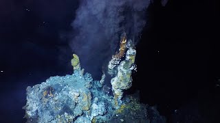 What are hydrothermal vents [upl. by Mode293]