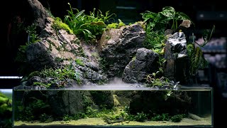 PALUDARIUM Rainforest Experience  REAL WATERFALL and Monumental Hardscape [upl. by Ettezyl]