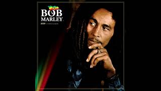 Bob Marley  Stiff Necked Fools [upl. by Spevek]