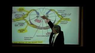 THE SPINAL CORD amp SPINAL TRACTS PART 1 by Professor Fink [upl. by Daberath]