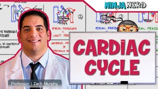 Cardiovascular  Cardiac Cycle [upl. by Nylrehs64]