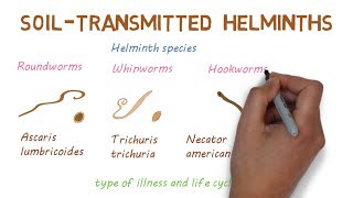 Deadly Worms – A look at Soil Transmitted Helminths [upl. by Lleret]