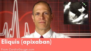 Eliquis apixaban Basics about this medicine its use effectiveness and side effects [upl. by Bancroft]