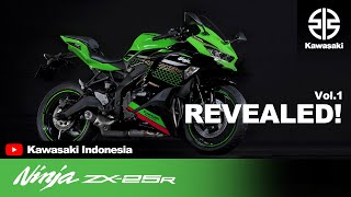 Ninja ZX25R Vol1 Revealed [upl. by Maffa]