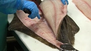 How to Fillet Halibut  a Fishmongers Tutorial [upl. by Willcox]