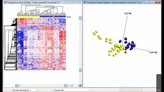 Proteomics and Metabolomics data analysis [upl. by Anoek]